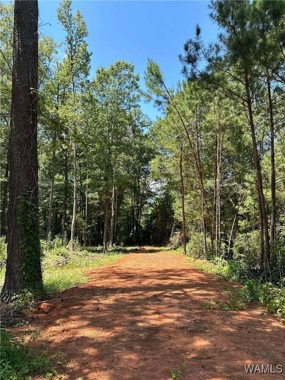 0.27 Acres of Commercial Land for Sale in Reform, Alabama