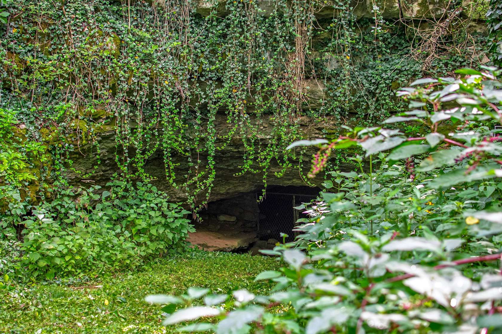 81.5 Acres of Recreational Land & Farm for Sale in Lynchburg, Tennessee