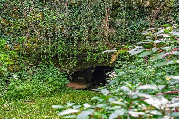 81.5 Acres of Recreational Land & Farm for Sale in Lynchburg, Tennessee