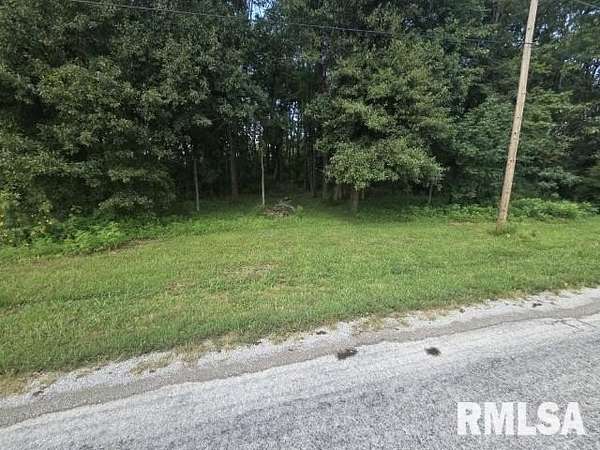 0.33 Acres of Residential Land for Sale in Bluford, Illinois