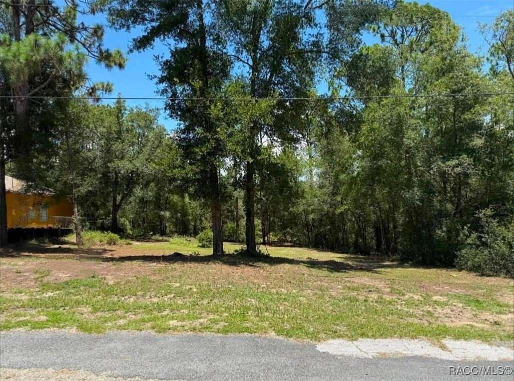 0.24 Acres of Land for Sale in Citrus Springs, Florida