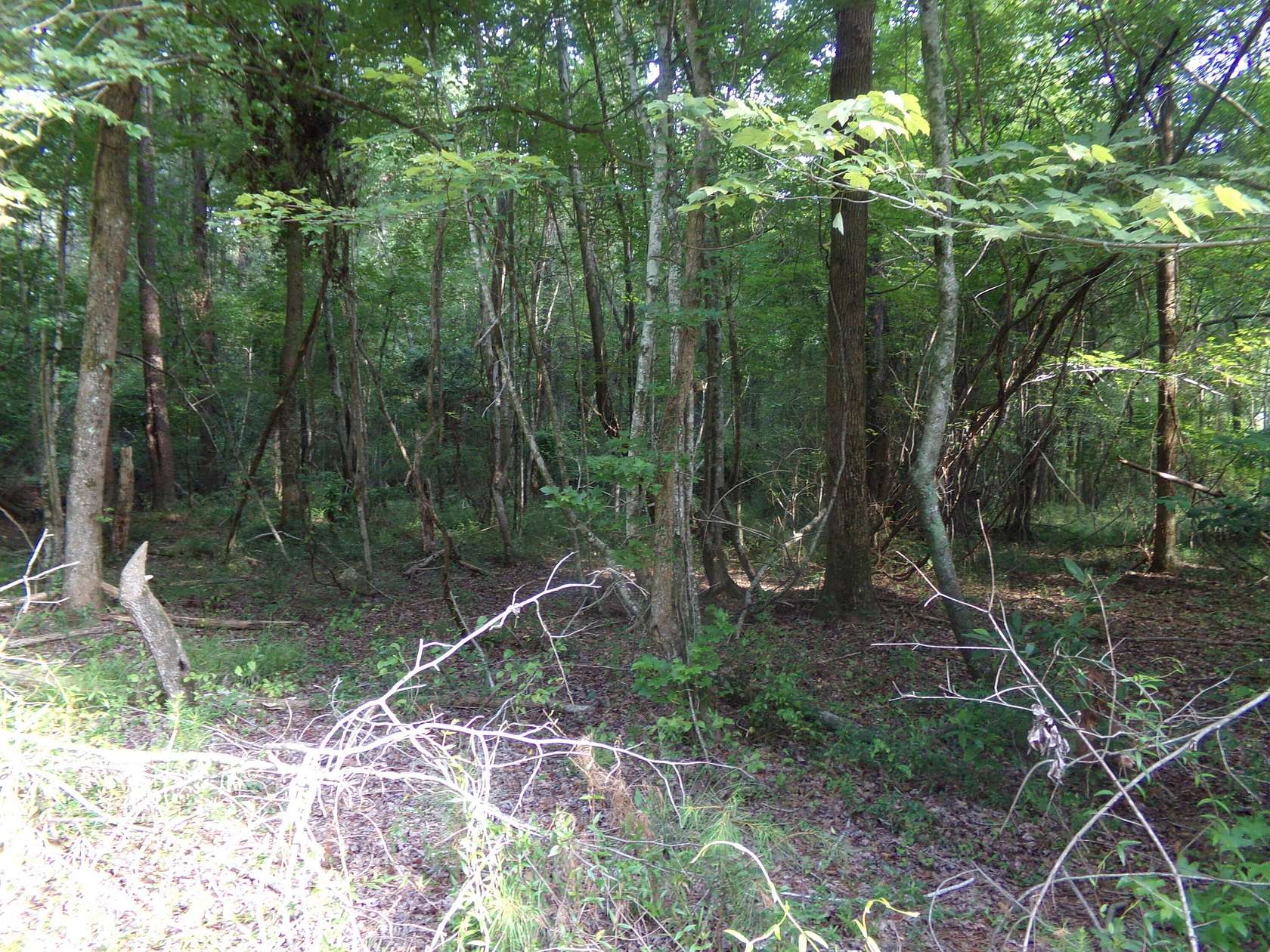 1 Acre of Land for Sale in Sumter, South Carolina