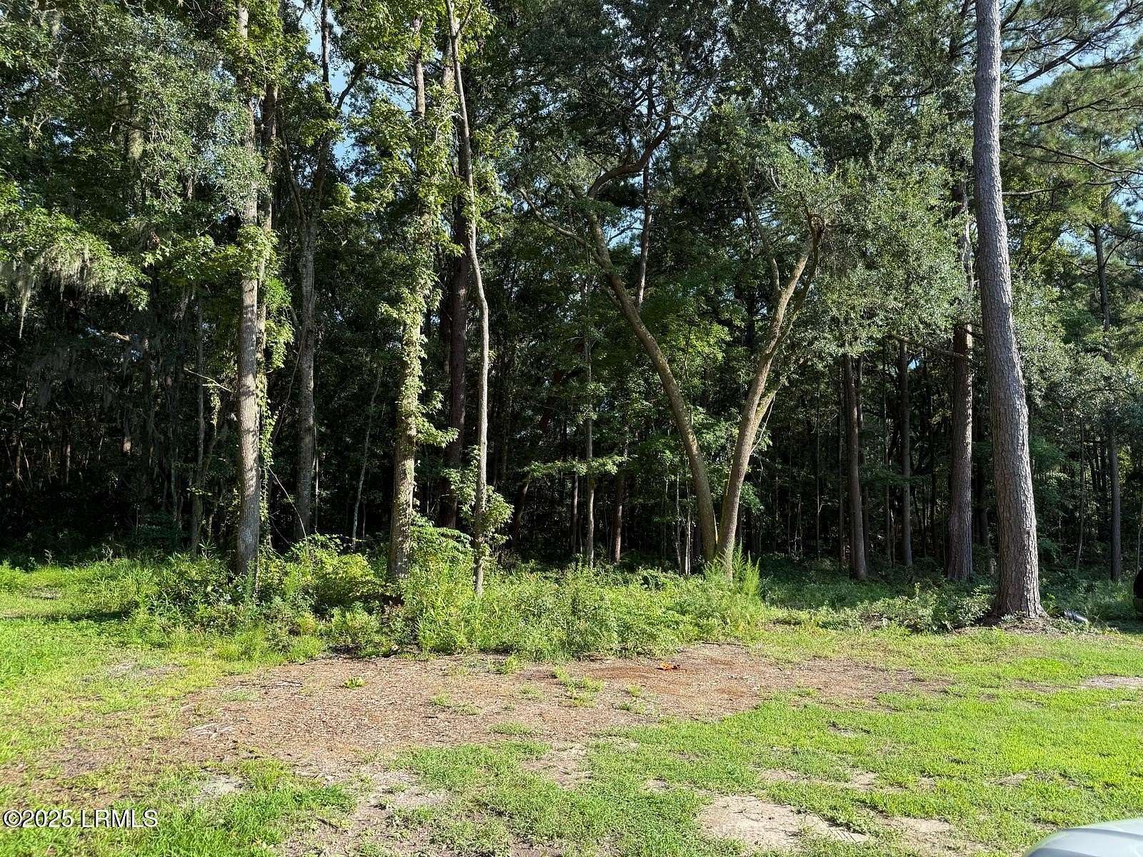 0.9 Acres of Residential Land for Sale in Burton, South Carolina