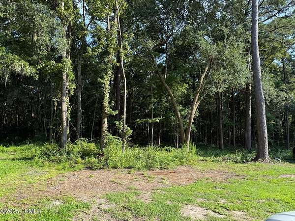 0.9 Acres of Residential Land for Sale in Burton, South Carolina