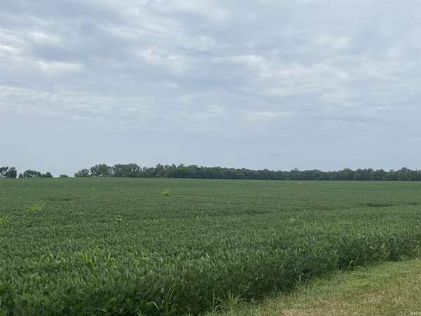 15 Acres of Agricultural Land for Auction in North Manchester, Indiana