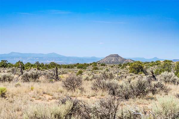 40.1 Acres of Recreational Land for Sale in Ojo Caliente, New Mexico
