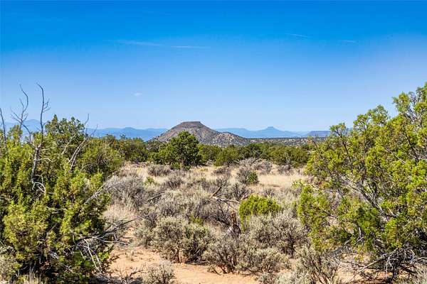 20.1 Acres of Recreational Land for Sale in Ojo Caliente, New Mexico