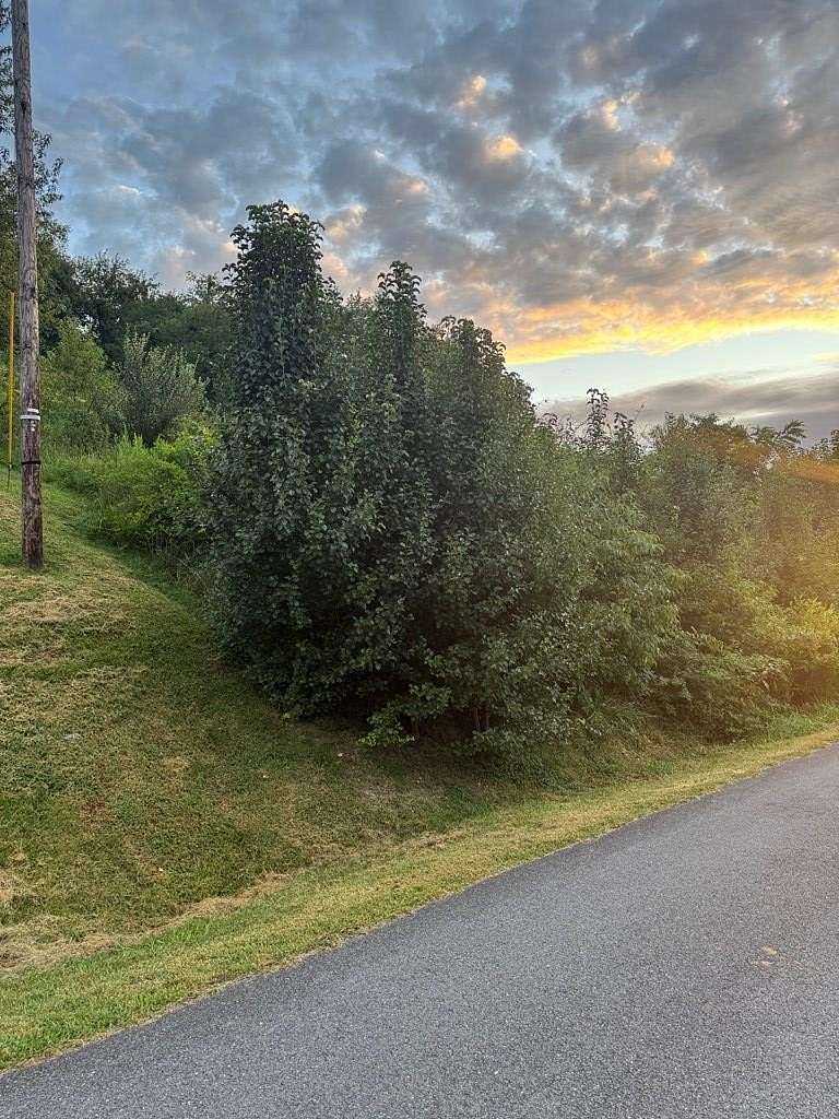 0.5 Acres of Residential Land for Sale in Pounding Mill, Virginia