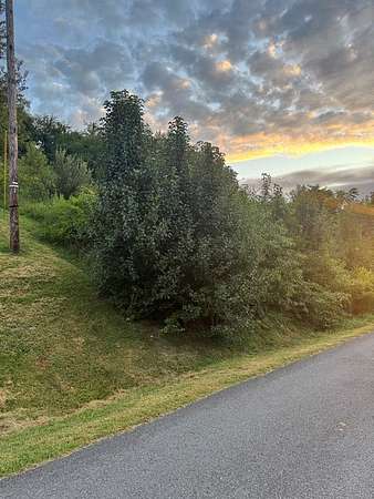 0.5 Acres of Residential Land for Sale in Pounding Mill, Virginia