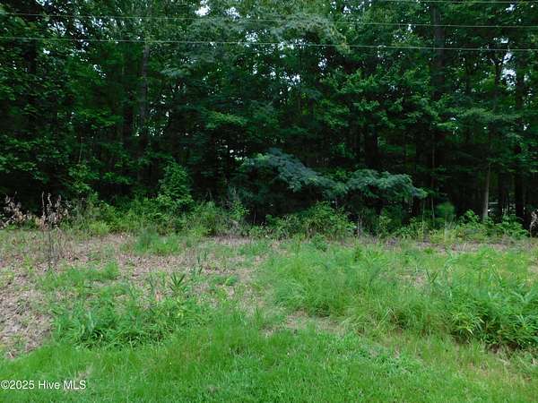 0.22 Acres of Residential Land for Sale in Hertford, North Carolina