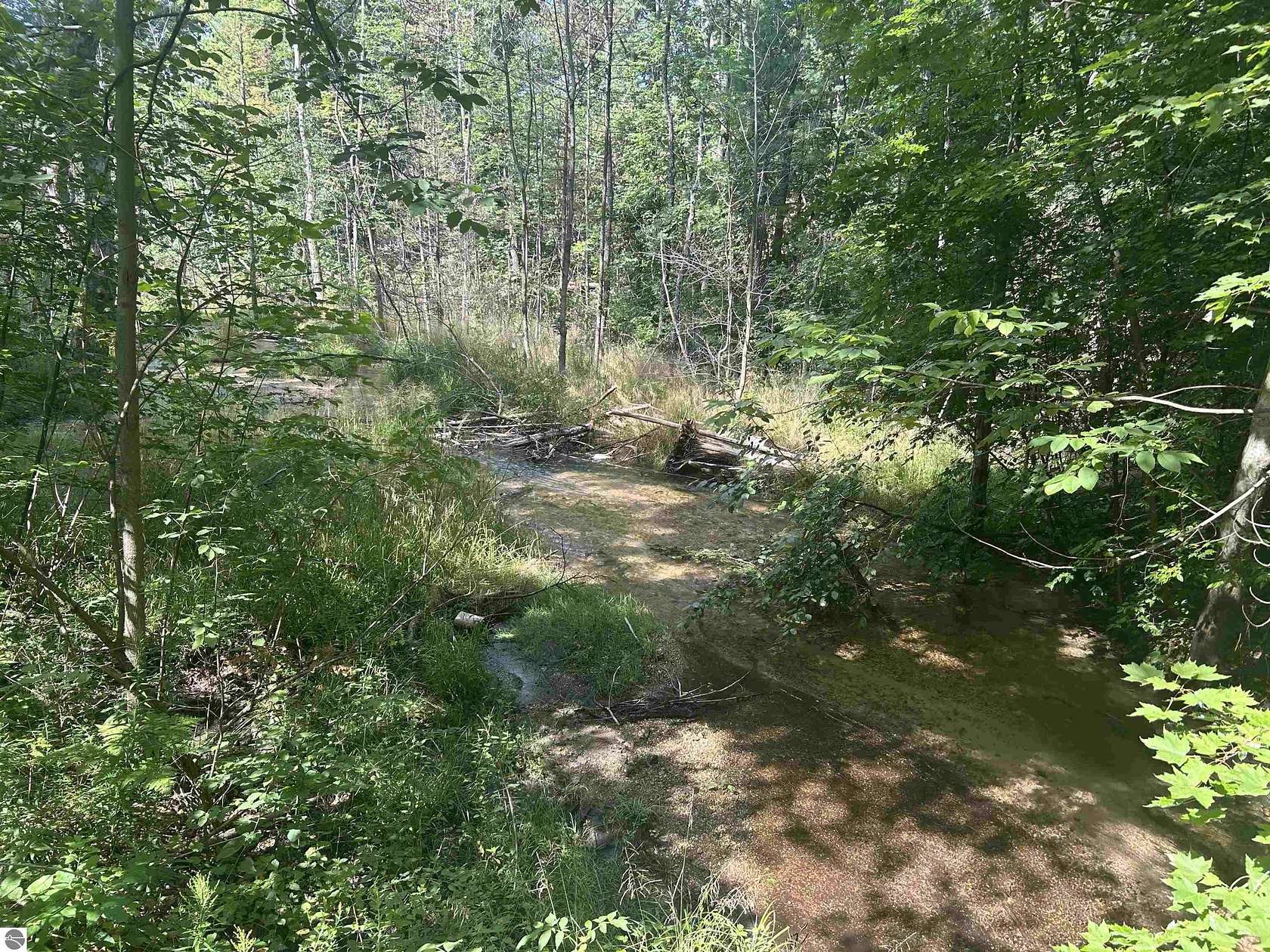 2.4 Acres of Residential Land for Sale in Bellaire, Michigan