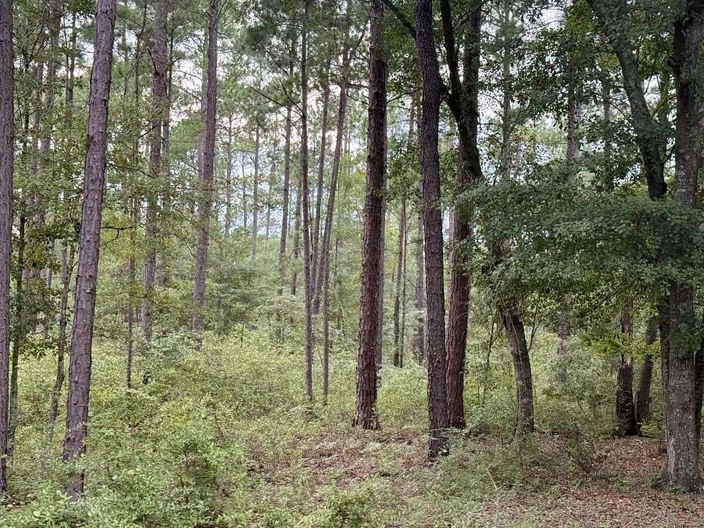 32 Acres of Recreational Land for Sale in Ochlocknee, Georgia