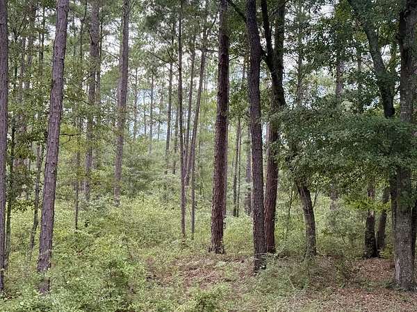 32 Acres of Recreational Land for Sale in Ochlocknee, Georgia