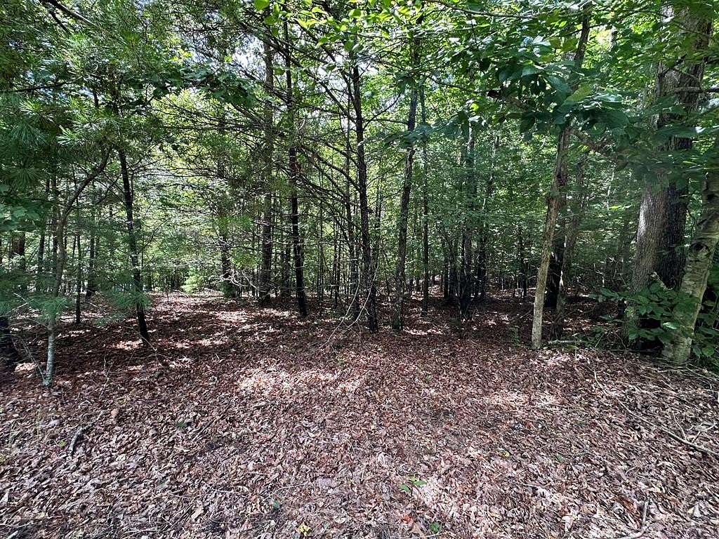 0.91 Acres of Land for Sale in Young Harris, Georgia
