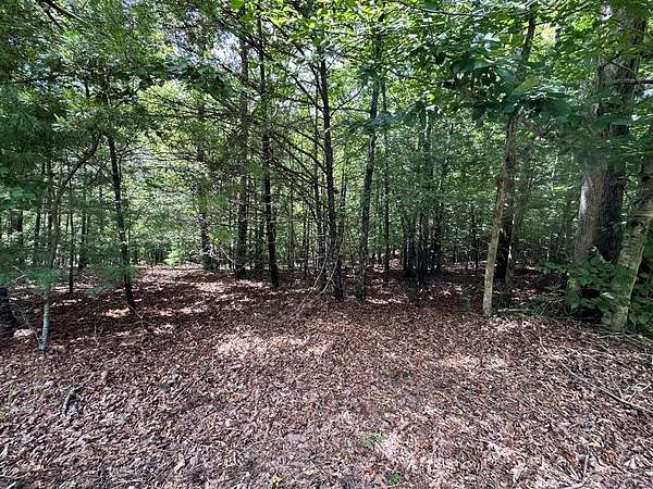 0.91 Acres of Land for Sale in Young Harris, Georgia
