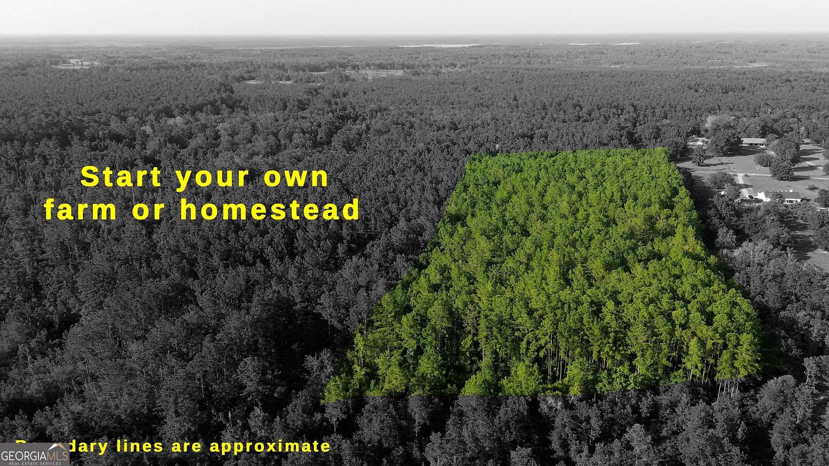 10.6 Acres of Land for Sale in Waverly, Georgia