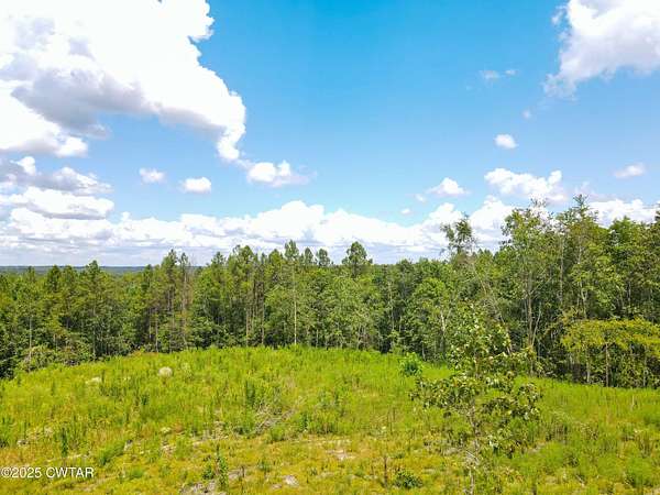 13.3 Acres of Recreational Land for Sale in Sugar Tree, Tennessee