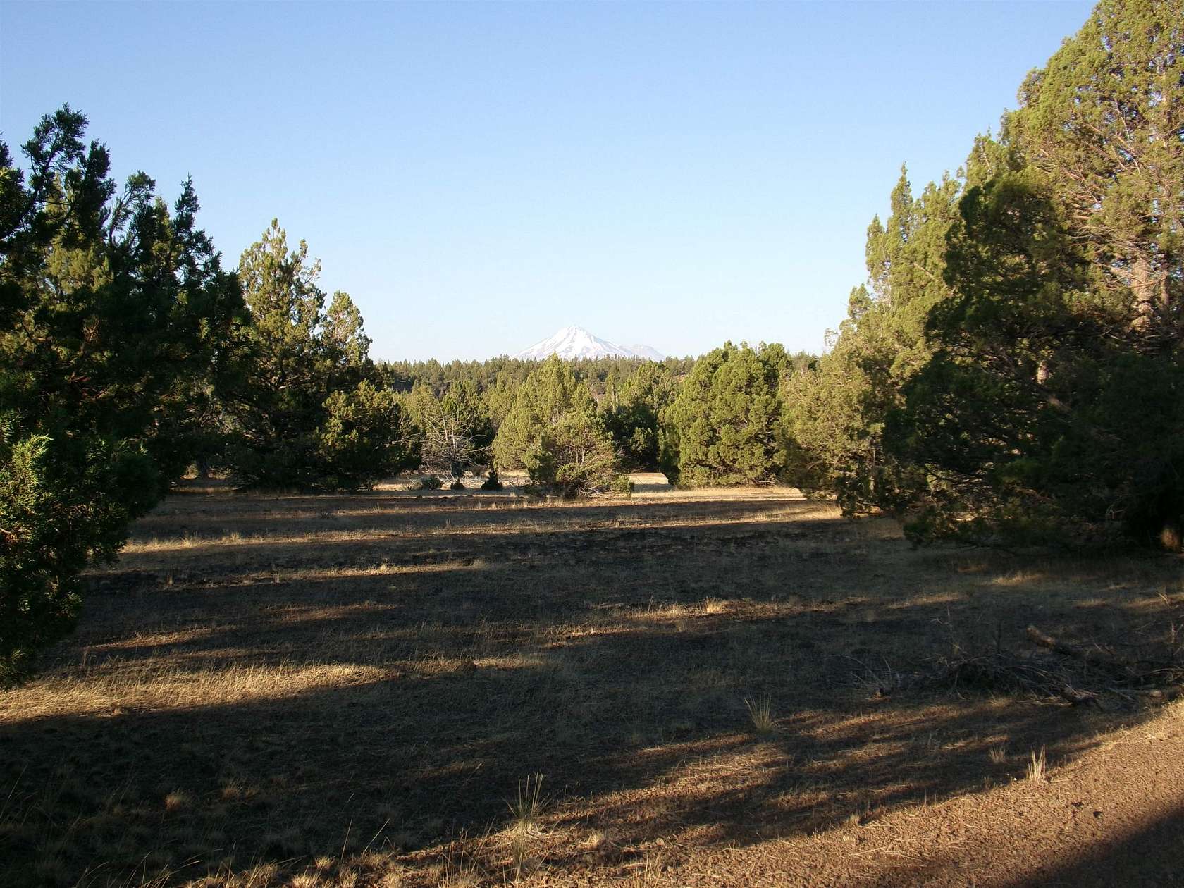 40 Acres of Recreational Land for Sale in Macdoel, California