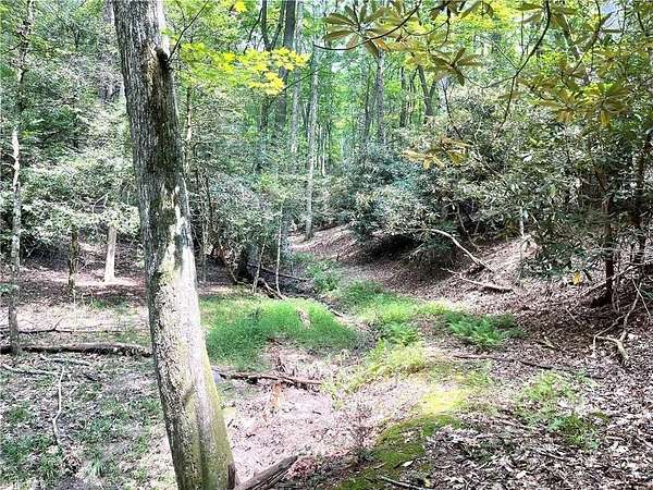 21.3 Acres of Recreational & Residential Land for Sale in Hays, North Carolina