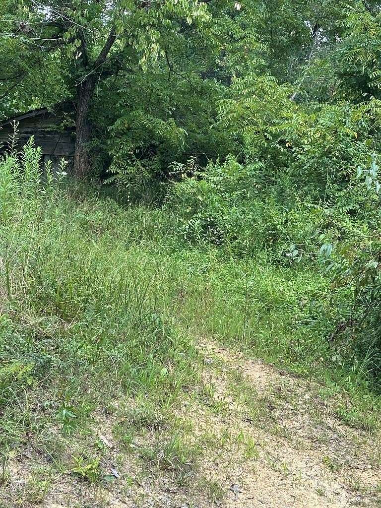 6.18 Acres of Land for Sale in Wilder, Tennessee