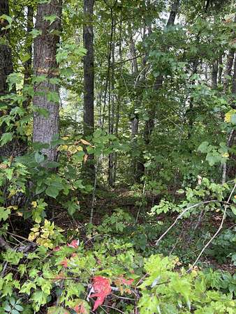 2.9 Acres of Residential Land for Sale in Corbin, Kentucky