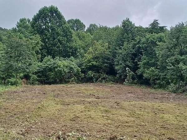 5.6 Acres of Residential Land for Sale in Wallingford, Kentucky