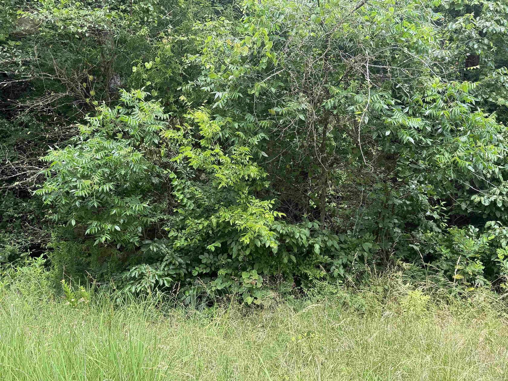 0.37 Acres of Residential Land for Sale in Cherokee Village, Arkansas