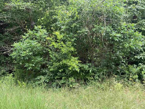 0.37 Acres of Land for Sale in Cherokee Village, Arkansas