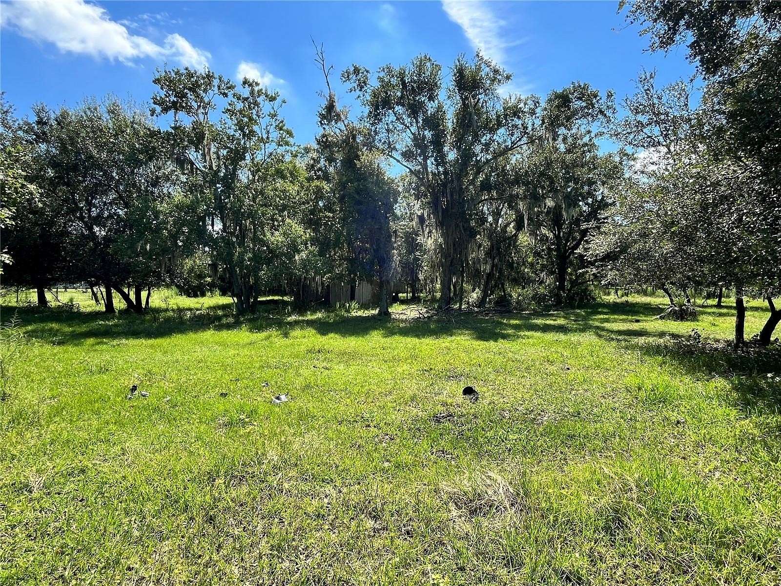 10.6 Acres of Agricultural Land for Sale in Seffner, Florida