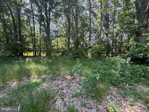 0.17 Acres of Residential Land for Sale in Shady Side, Maryland