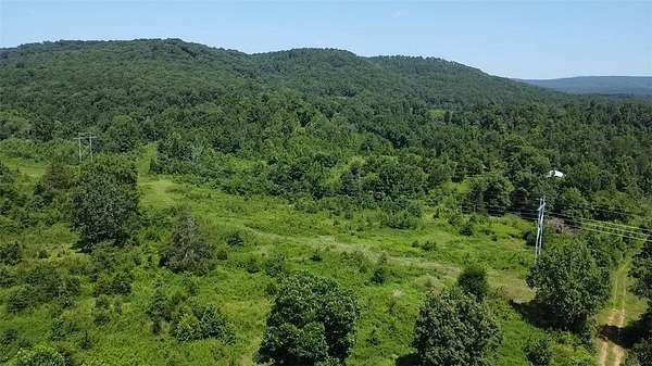 20 Acres of Recreational & Residential Land for Sale in Dover, Arkansas