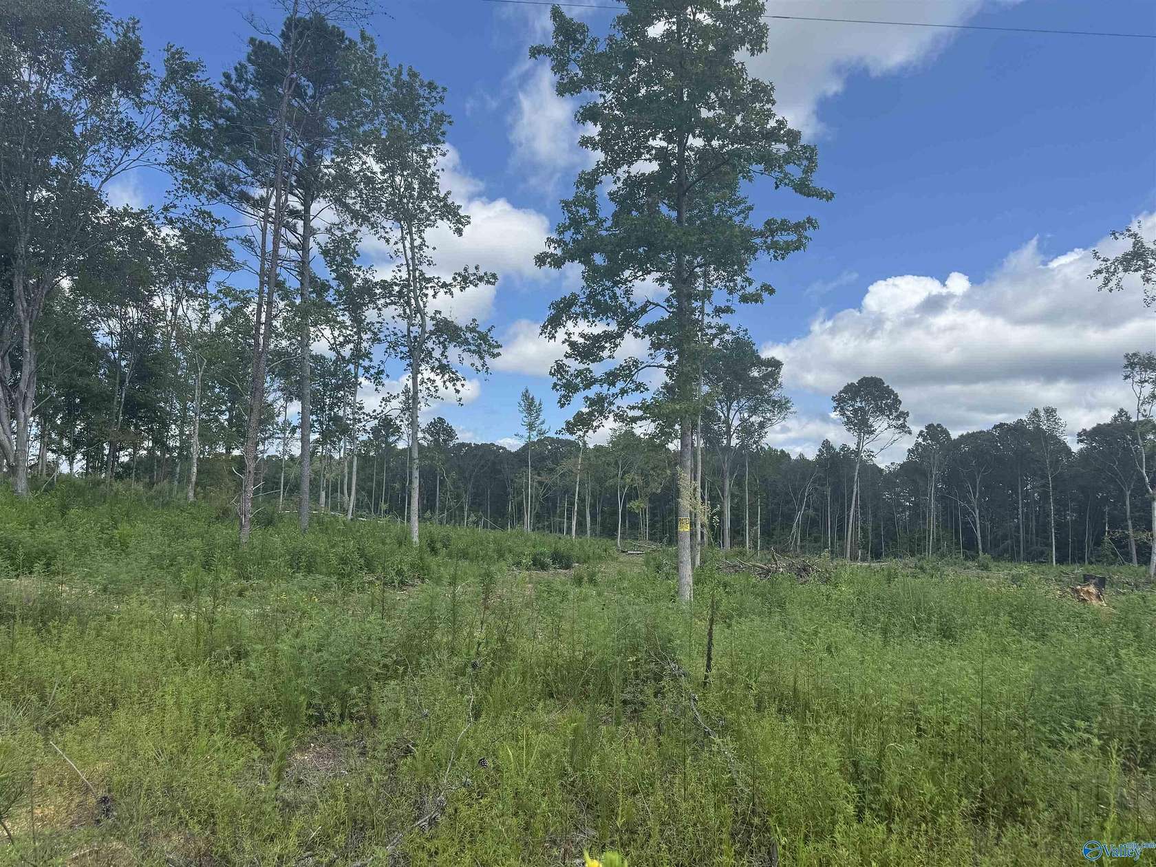 6.15 Acres of Residential Land for Sale in Gaylesville, Alabama