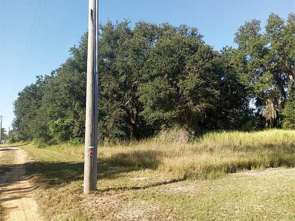 5 Acres of Residential Land for Sale in Clermont, Florida