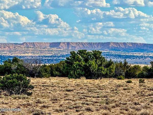 128 Acres of Land for Sale in Sanders, Arizona