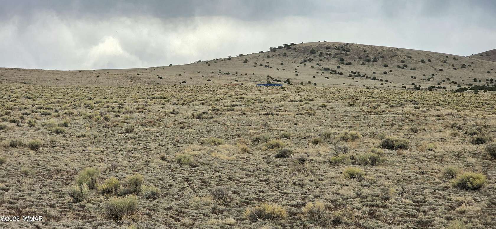 36.4 Acres of Land for Sale in Concho, Arizona