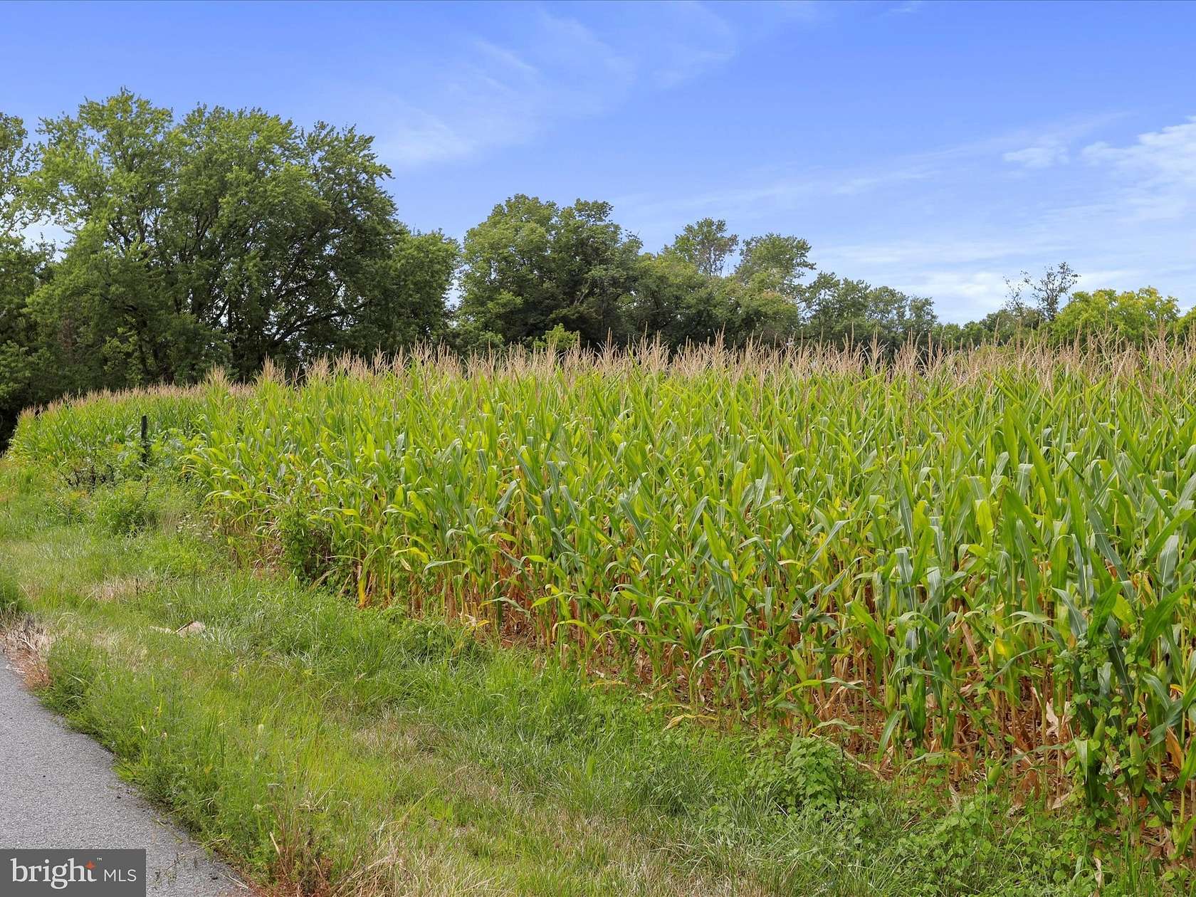 8 Acres of Land for Sale in Williamsport, Maryland