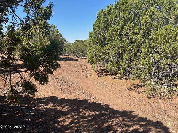 3.55 Acres of Residential Land for Sale in Vernon, Arizona