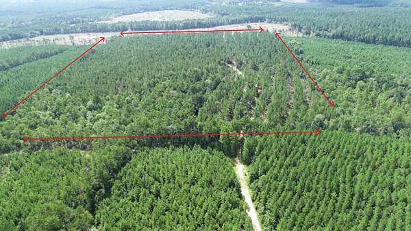 40 Acres of Recreational Land for Sale in Jasper, Texas