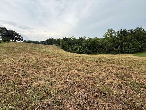 18 Acres of Recreational Land for Sale in Jacobsburg, Ohio