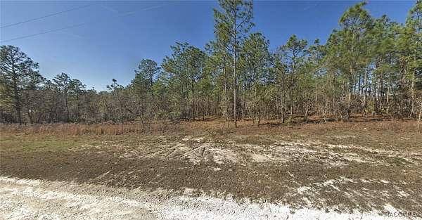 0.48 Acres of Residential Land for Sale in Weeki Wachee, Florida