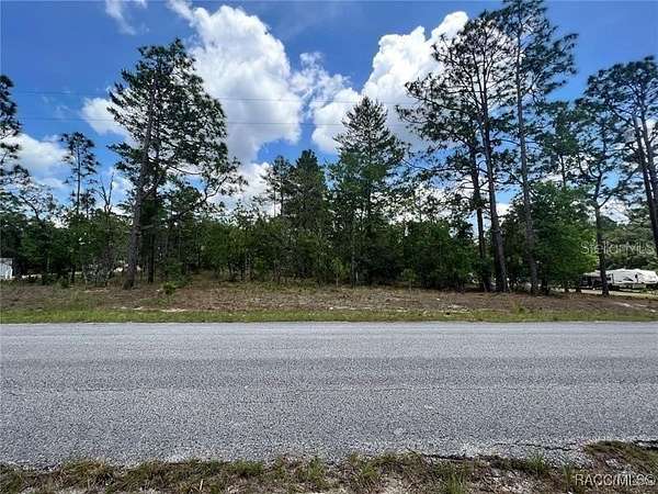 1 Acre of Residential Land for Sale in Dunnellon, Florida