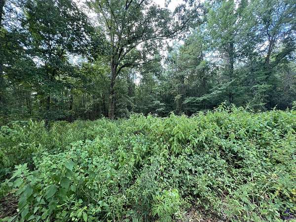 54 Acres of Recreational Land for Sale in Byron, Georgia