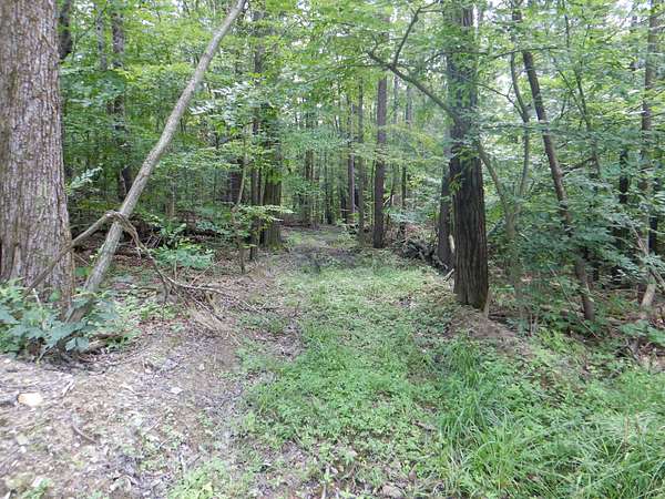37 Acres of Recreational Land for Sale in Newfield, New York