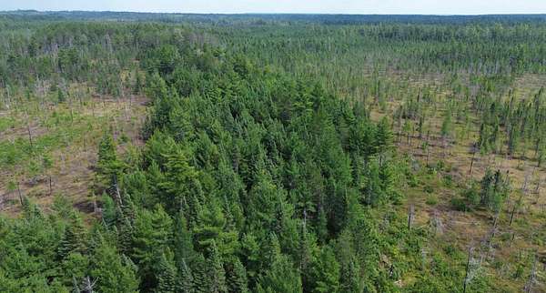 85 Acres of Recreational Land for Sale in Newberry, Michigan