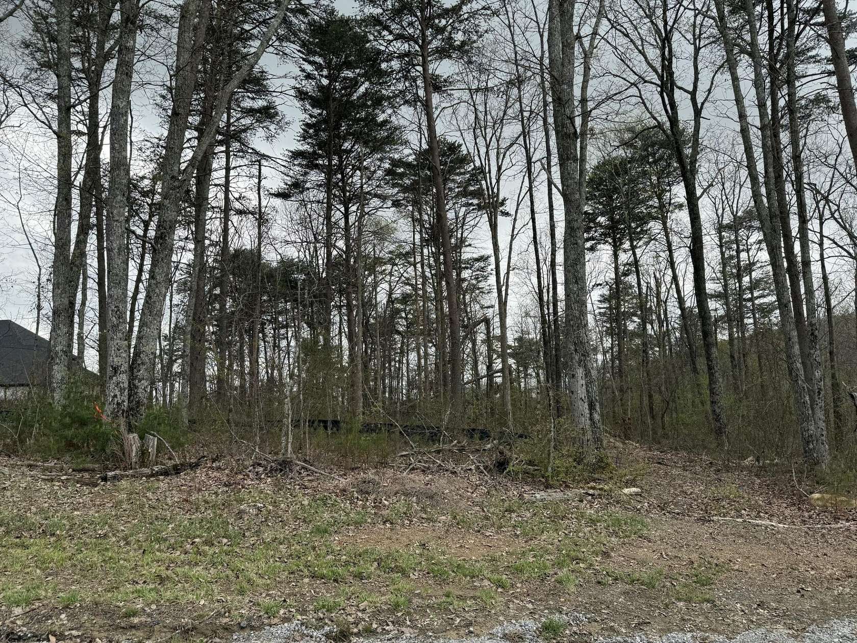 1 Acre of Residential Land for Sale in Signal Mountain, Tennessee