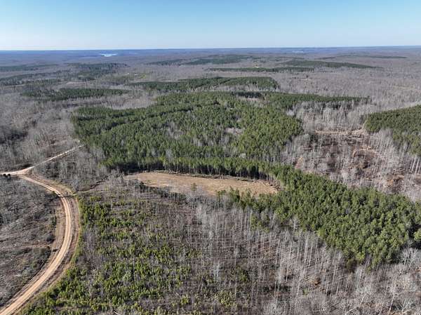 84.5 Acres of Recreational Land & Farm for Sale in Stewart, Tennessee