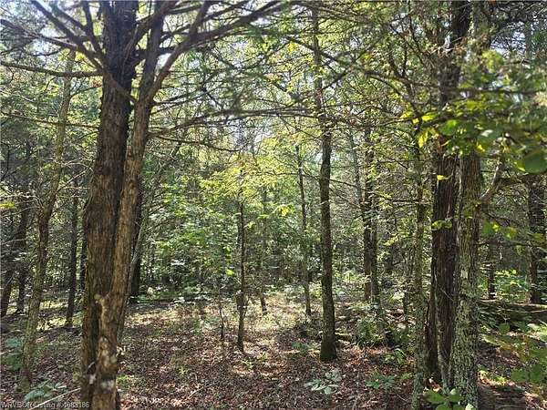 19 Acres of Recreational Land for Sale in Sallisaw, Oklahoma