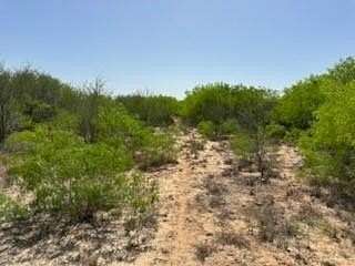 26.1 Acres of Recreational Land for Sale in Premont, Texas