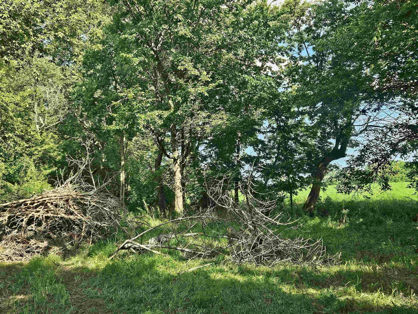 0.94 Acres of Commercial Land for Sale in Oregon, Illinois