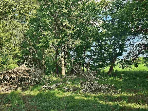 0.94 Acres of Commercial Land for Sale in Oregon, Illinois